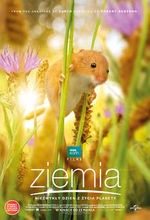 Plakat filmu Ziemia. Niezwykły dzień z życia planety