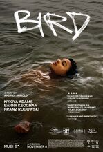 Plakat filmu Bird