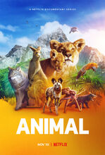 Plakat filmu Zwierzę