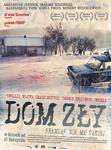 Movie poster Dom zły